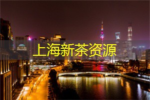 穿越时空：探索上海最具特色的古建筑群