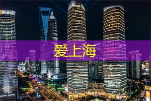 城市中的绿洲：瞬间放松身心于上海后花园