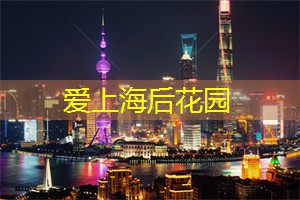 解析上海的职业赛车运动